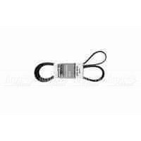 Pubert 0306030032 Ремень привода для Promo в Вологде