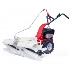 Подметальная машина Eurosystems M800 B&S 450 Series в Вологде