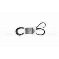 Pubert 0306030004 Ремень привода для MB 50H; MB 86R 5697 в Вологде