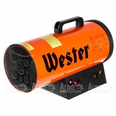 Газовая тепловая пушка Wester TG-20 в Вологде