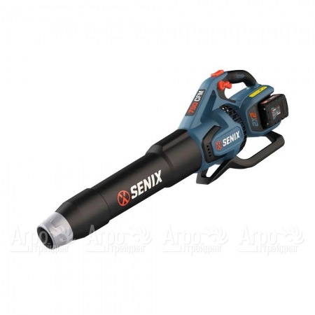 Воздуходувка аккумуляторная Senix BLAX2-M2-EU в Вологде