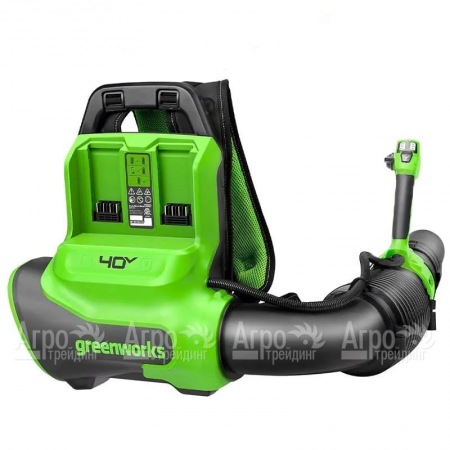Воздуходувка аккумуляторная GreenWorks GD40BPG2  в Вологде