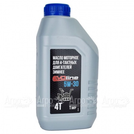 Масло моторное EVOline SAE 5W-30 API SN/CF 1 л для 4-х тактных двигателей в Вологде