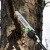 Высоторез аккумуляторный GreenWorks PS102T (без аккумулятора и зарядного устройства) в Вологде