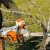 Аккумуляторная пила Stihl MSA 220 C-BQ-14" (без аккумулятора и зарядного устройства) в Вологде