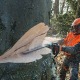 Бензопила Stihl MS 661-28&quot; в Вологде