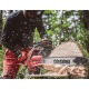 Бензопила Shindaiwa 501SX в Вологде
