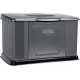 Газовый генератор Briggs&amp;Stratton Home Standby 1400 Вт в Вологде