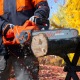 Пила цепная (электропила) Daewoo DACS 2500E-16 в Вологде