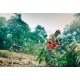 Бензопила Husqvarna 455e Rancher-20X&quot; в Вологде