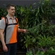 Аккумуляторный опрыскиватель Daewoo DSA 12Li SET в Вологде